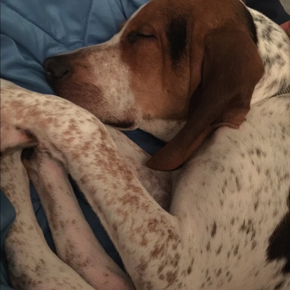 Meet your Posher, Jessica - Picture 6 of 6